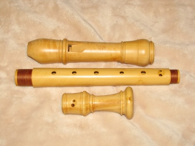anciuti